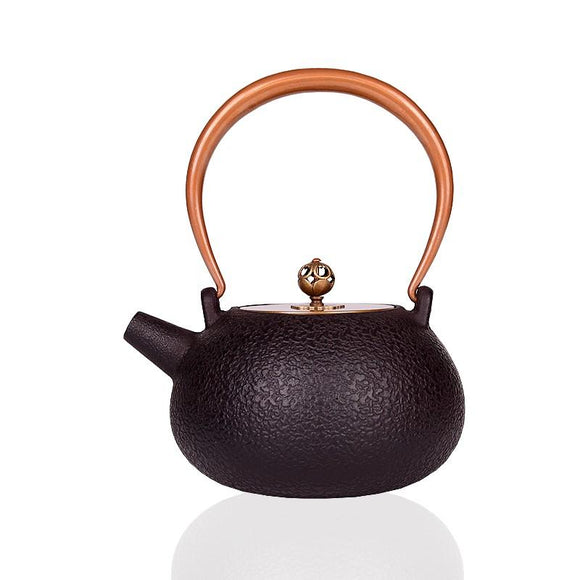 Tetera de Hierro Fundido Artesanal Sin Recubrimiento para Té Kung Fu
