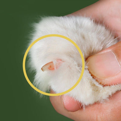 Cortauñas Profesional para Gatos - Image 10