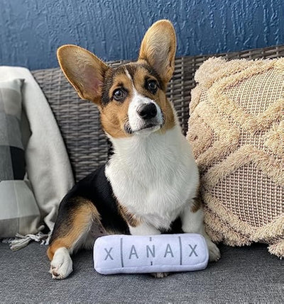 Juguete para Perro Divertido con Sonidos - Peluche Chirriante y Crujiente - Image 5