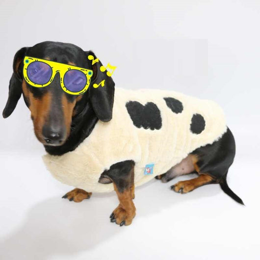 Chaleco Térmico para Perros y Gatos con Forro Polar - Ropa de Abrigo Otoño Invierno - Image 8