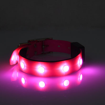 Collar Luminoso Impermeable Ajustable para Gatos y Perros - Image 9
