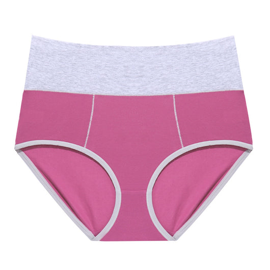 Braguitas Deportivas Talle Alto de Algodón para Mujer - Image 24
