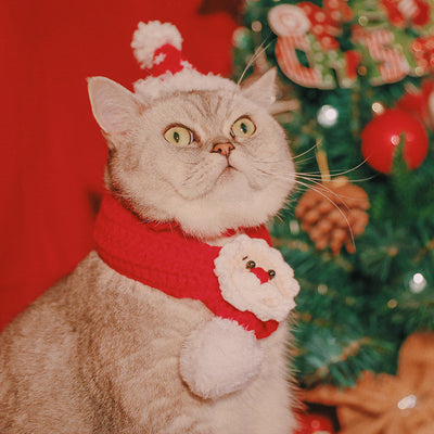 Gorro Navideño para Mascotas Tejido a Mano - Image 18