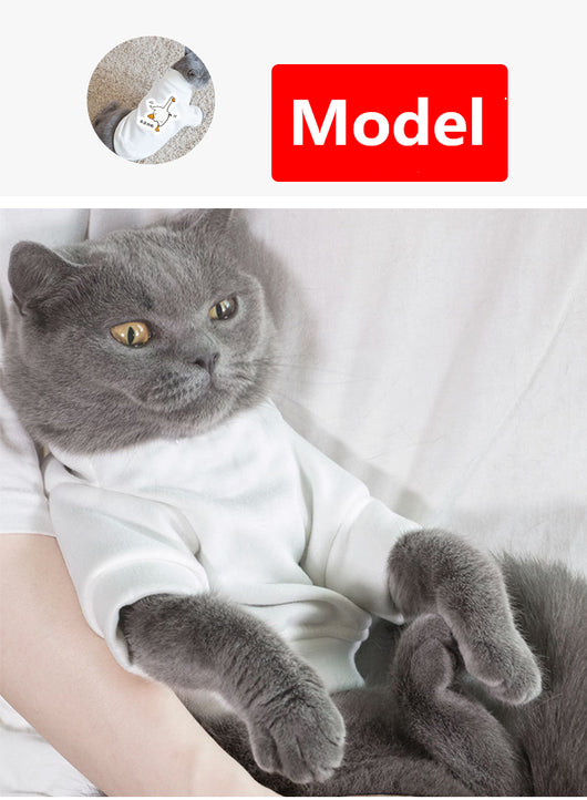 Ropa Personalizada para Mascotas con Patrón de Texto - Image 2
