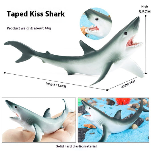 Juego Educativo de Animales Marinos Realistas para Niños - Image 77