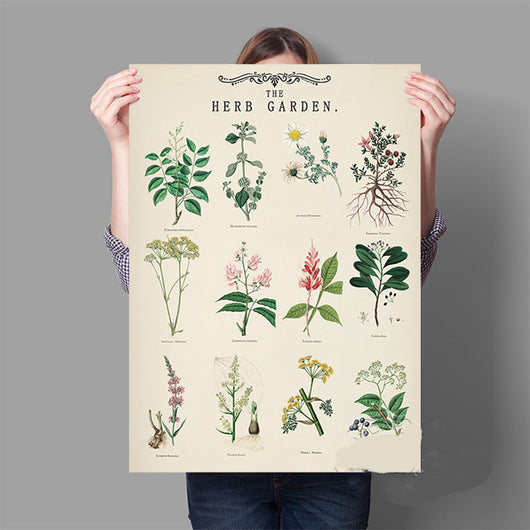 Lámina Vintage de Jardín de Hierbas Aromáticas con Ilustraciones Botánicas Educativas - Image 8