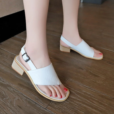 Sandalias Mujer Talla Grande con Tacón Grueso y Hebilla - Image 12