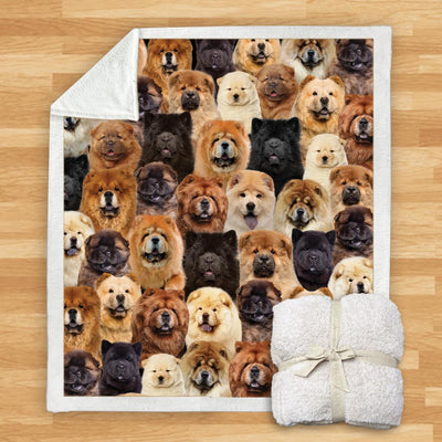 Manta Franela Estampada para Perros - Image 37