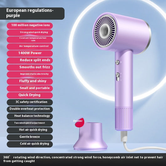Secador de Cabello Iónico de Alta Concentración con Control de Temperatura Constante - Image 6