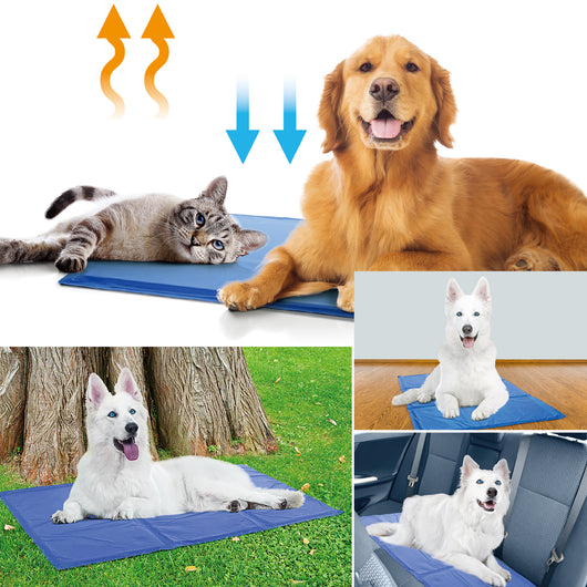 Colchoneta Refrescante para Perros y Gatos - Almohadilla Gel AntiCalor - Image 8