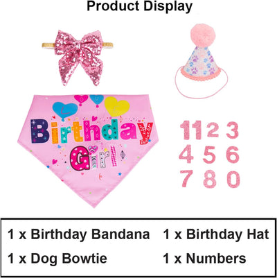 Sombrero de Cumpleaños para Perros con Números y Bandana - Image 8