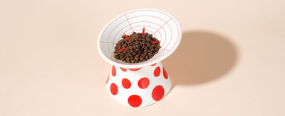 Comedero Elevado Cerámico Ancho para Gatos - Diseño Inclinado Antiúlcera - Image 9