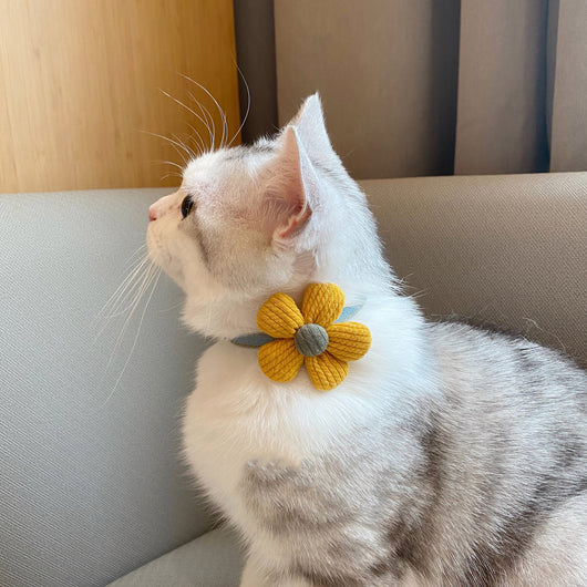 Collar con Moño Floral para Gatitos - Image 10