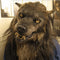 Latex Wolf Head Mask - Professional Cosplay Headgear