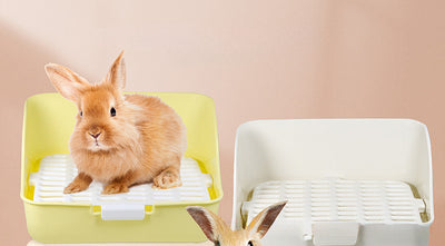 Arenero Esquinero para Mascotas Pequeñas - Entrenador de Baño para Conejos, Hamsters y Roedores - Image 24