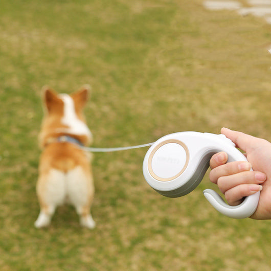 Correa Retráctil Automática para Perros
