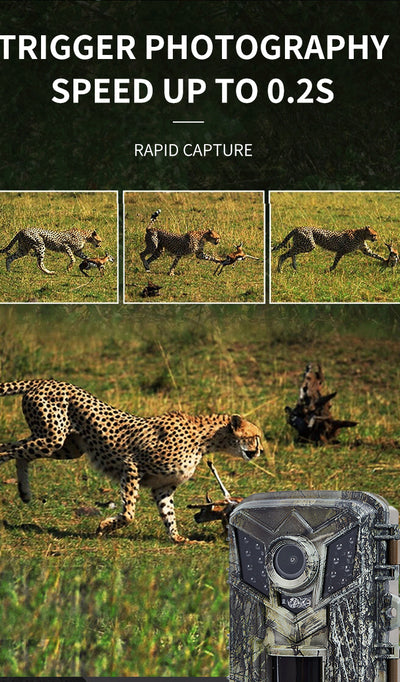 Cámara de Seguridad Exterior 1080p Full HD con Sensor de Movimiento y Protección Anti-DDoS - Image 11