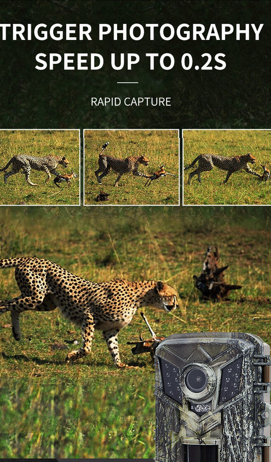 Cámara de Seguridad Exterior 1080p Full HD con Sensor de Movimiento y Protección Anti-DDoS - Image 11