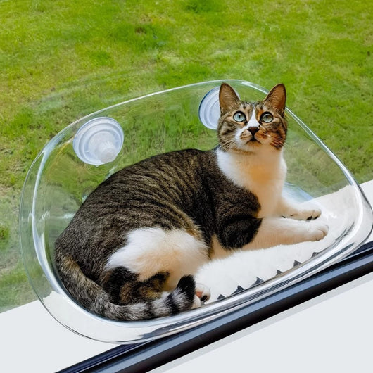 Hamaca para Gatos con Ventosas - Reposo Elevado para Ventanas - Image 7