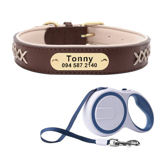 Collar Identificación Perros Medianos y Grandes Antiextravío - Image 13