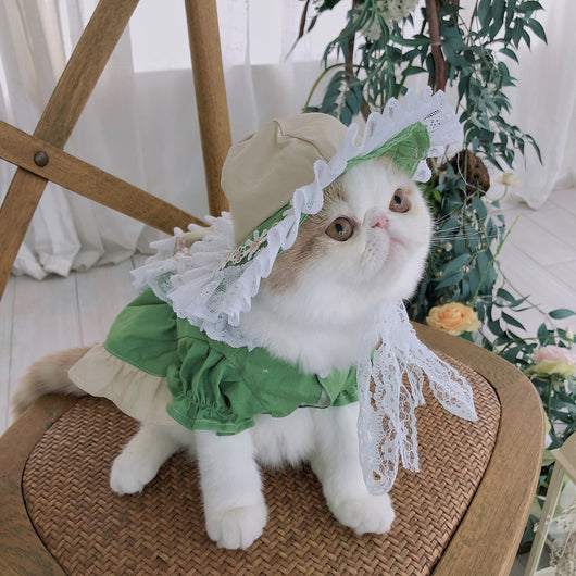 Disfraz Lolita para Mascotas - Traje de Sirvienta con Sombrero - Image 9