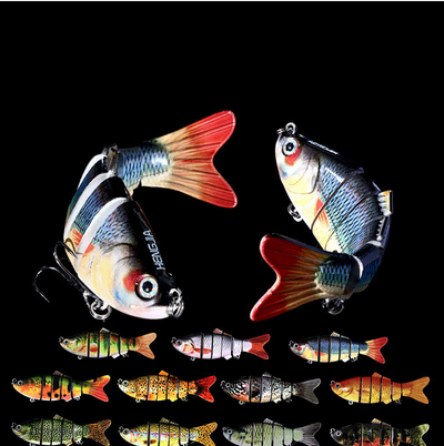 Peces Carnada Premium - Image 33