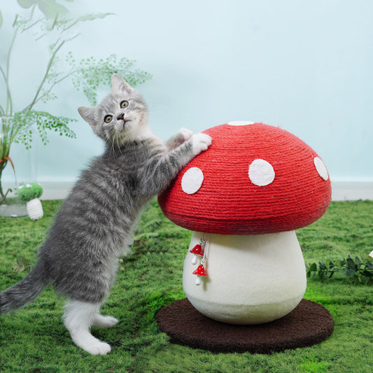 Juguete Interactivo Autorreparable para Gatos