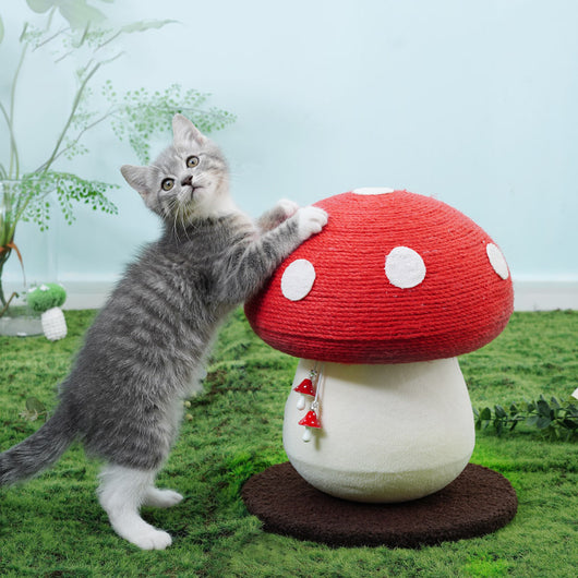 Juguete Interactivo Autorreparable para Gatos