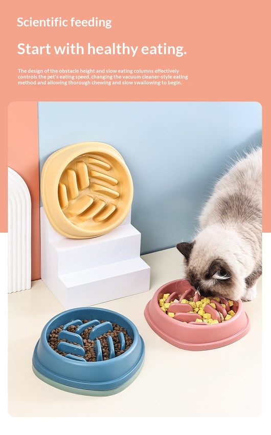 Comedero Lento Antiahogo para Perros y Gatos - Gran Capacidad - Image 10