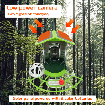 Comedero Inteligente para Aves con Cámara y Energía Solar - Image 3