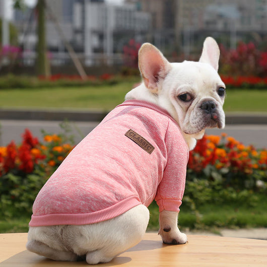 Suéter Abrigado para Perros - Ropa de Invierno Otoño Dos Patas - Image 13