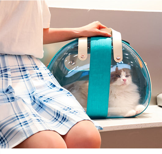 Ragdoll cat peeking from a dark grey pet carrier with transparent sides, ventilation holes, and rose gold zippers. - Image 13