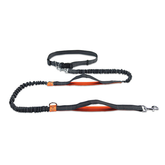 Correa Extensible Reflectante Doble para Perros con Telescopio de Seguridad - Image 4
