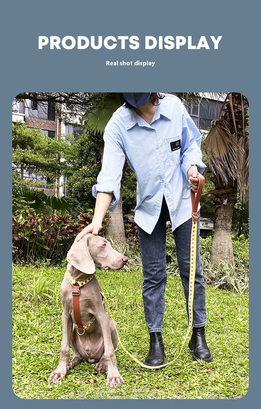 Arnés en I para Mascotas con Cuerda de Tracción - Image 21
