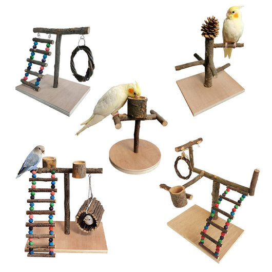 Solid wood parrot stand with multiple natural branch perches and a pinecone, featuring a cockatiel. - Image 16