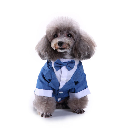Traje Deportivo para Perros - Image 19