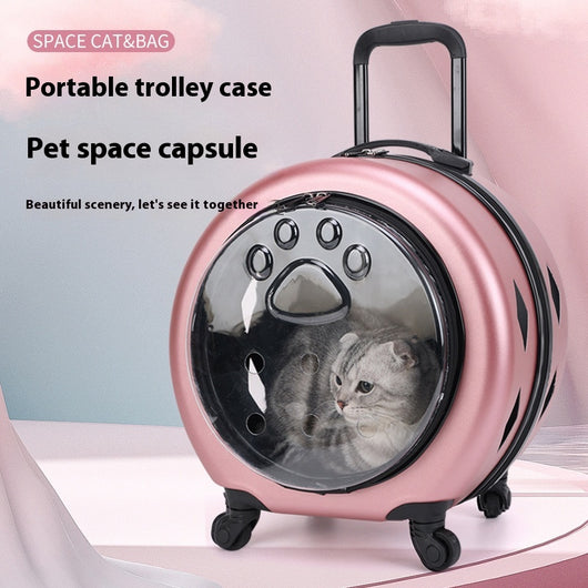 Bolsa Transportadora Transparente Reforzada para Mascotas - Gatos y Perros