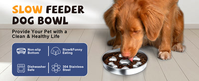 Comederos Lentos para Perros Antideslizantes con Diseño de Corazones y Huesos - Image 12