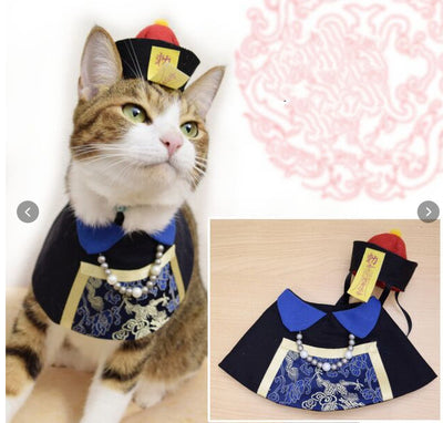 Babero Decorativo para Gatos - Accesorios Divertidos y Elegantes