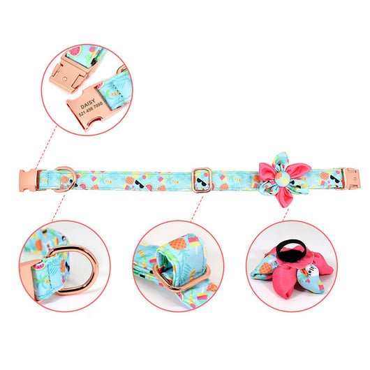 Correa y Collar para Perros Pequeños - Diseño Teddy Corgi - Image 12