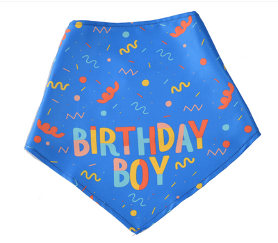 Pañuelo Triangular para Perros con Juguete Hueso y Toalla Absorbente - Image 8
