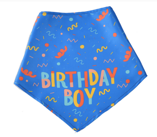 Pañuelo Triangular para Perros con Juguete Hueso y Toalla Absorbente - Image 8