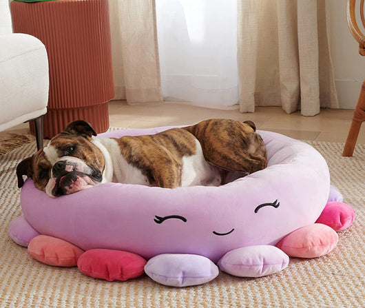 Cama para Mascotas Tiburón - Cómoda Ultrasuave Tamaño Grande - Image 10