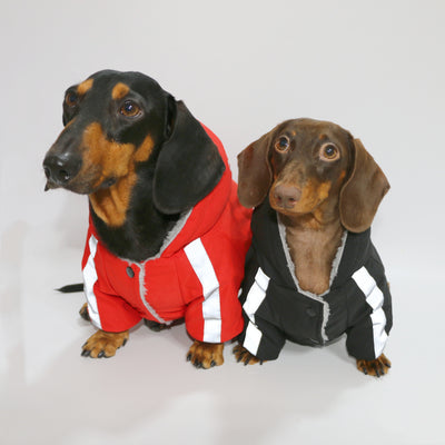Abrigo Reflectante para Mascotas - Ropa Térmica Impermeable para Perros y Gatos - Image 9