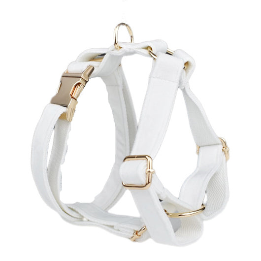 Collar de Perro Terciopelo - Comodidad y Estilo - Image 25