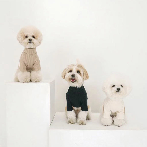 Ropa Térmica para Mascotas con Contraste de Colores y Textura 3D