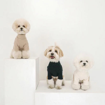 Ropa Térmica para Mascotas con Contraste de Colores y Textura 3D