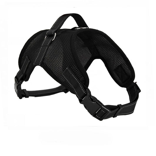Arnés Pectoral Transpirable para Perro con Correa - Image 9