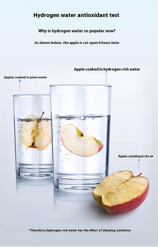 Vaso Generador de Agua Hidrogenada con Separación Electrolítica - Image 13
