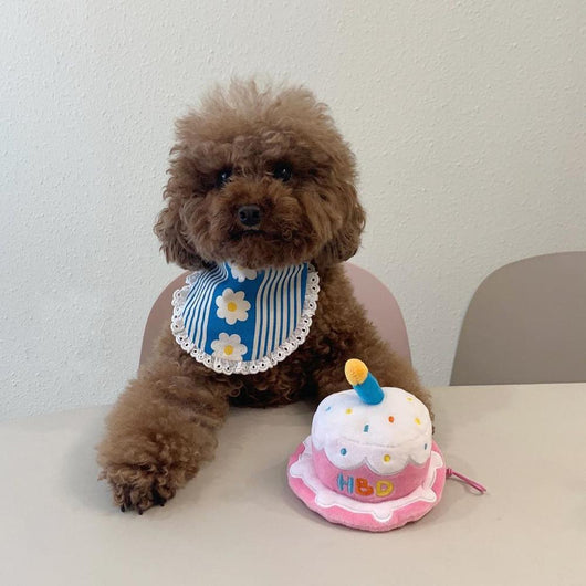 Juguete Peluche Interactivo con Gorro de Cumpleaños para Perros y Gatos - Image 11